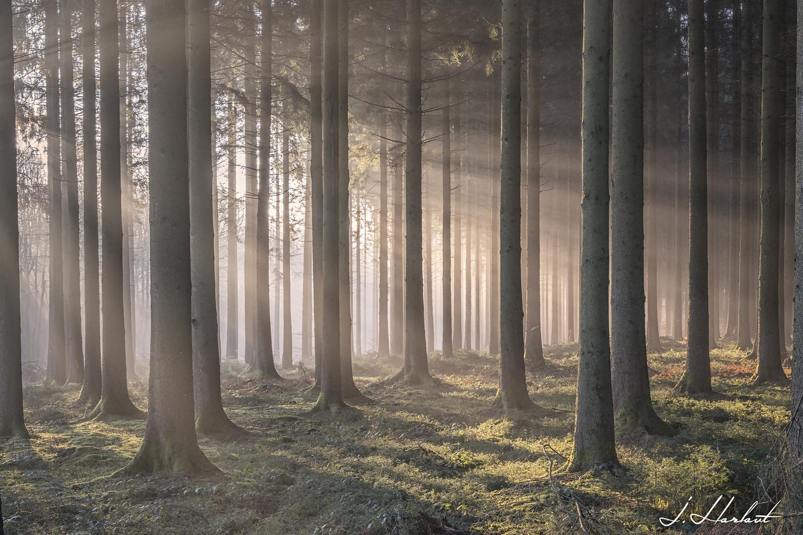 Photographies de fioles de couleurs