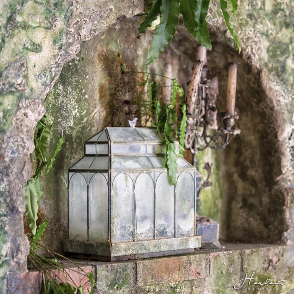 Photographie d'une petite serre à côté d'un chandelier