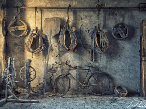 Photographies de colliers à cheval avec d'autres objets