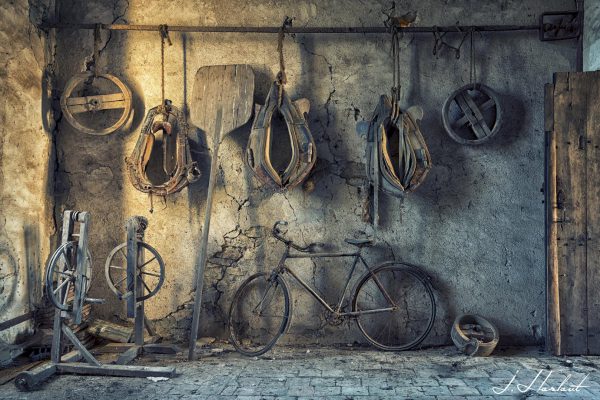 Photographies de colliers à cheval avec d'autres objets