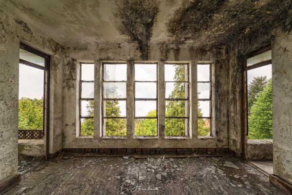 Photographie d'un reste de pièce couvert de moisissure.