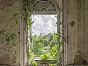 Photographie d'une fenêtre ouverte sur l'extérieur.