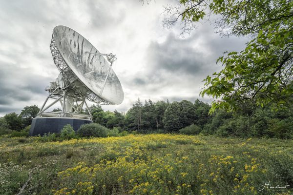 Photographie d'une antenne parabolique dans un champ