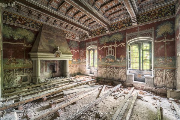 Photographie des décorations murales d'une pièce d'un Château.