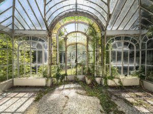 Photographie d'une serre abandonnée.